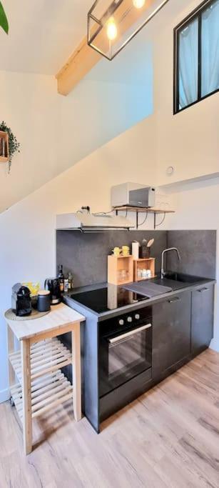 Le Duplex Catherine - Metro - Gare - Wifi トゥールーズ エクステリア 写真