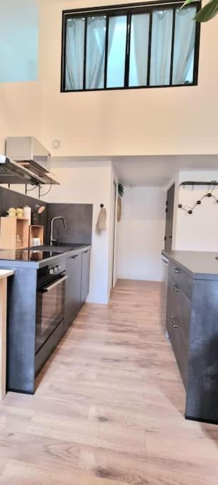 Le Duplex Catherine - Metro - Gare - Wifi トゥールーズ エクステリア 写真