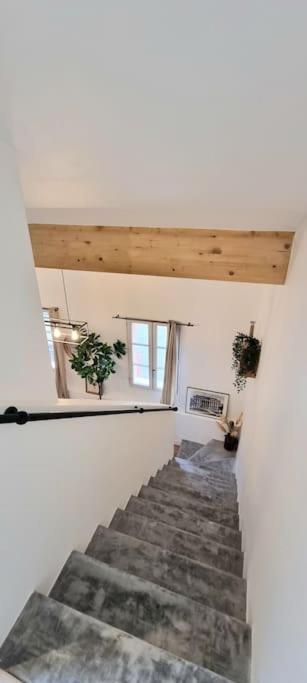 Le Duplex Catherine - Metro - Gare - Wifi トゥールーズ エクステリア 写真